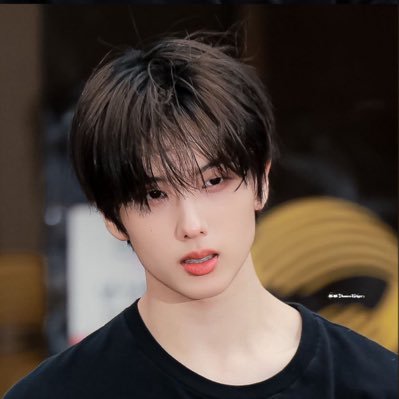 ˙uɹ ɐd Profile