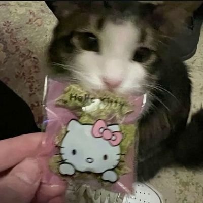 baska bir evrende kim dan oldugumu dusunuyorum