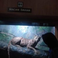 san²⁶ ˚free tag (@7sansyaima) 's Twitter Profile