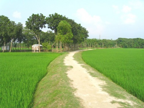I am 29 years old (single),I do small business and i am a rural doctor.