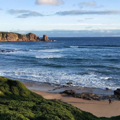 VGdxgv38958's profile picture. Privacy advocate coding the future