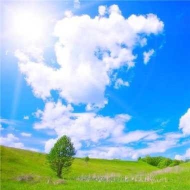 GeormWilliams's profile picture. Crypto collector strategizing token economics