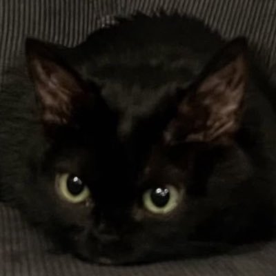 henaruhodone's profile picture. 