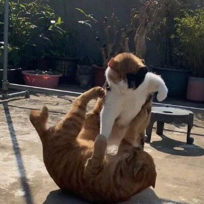 JerrmGreen's profile picture. Tokenomics analyst gaming on Web3 platforms