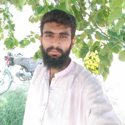 Shahbaz2942's profile picture. 86KC53A7