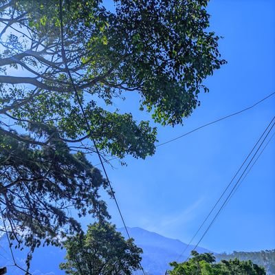 bukanpentolmu's profile picture. klo gasuka bilangg!