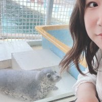 タマザラシ (@tktn_ta) 's Twitter Profile
