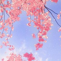 ハル ◂Ⓘ▸ (@springthief1123) 's Twitter Profile