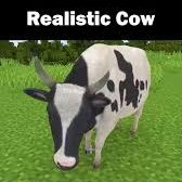 MOO Coin (@moo__coins) 's Twitter Profile