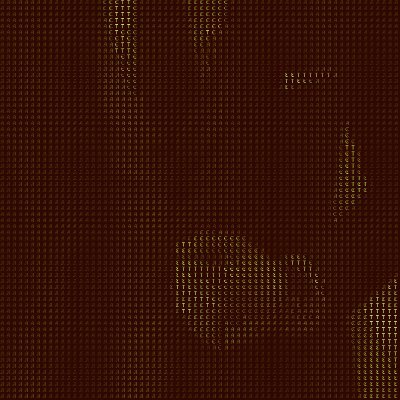 78borzp's profile picture. 