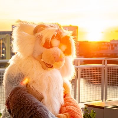 Yugioh/dota 2/ 📸-🎨 - 🎼-🪡
Owner of : @oopsallcurls
Telegram: @jeyhusky
King Ace @mackoolzie
Smooches: @tkashi91
https://t.co/jyoIOpOl4u