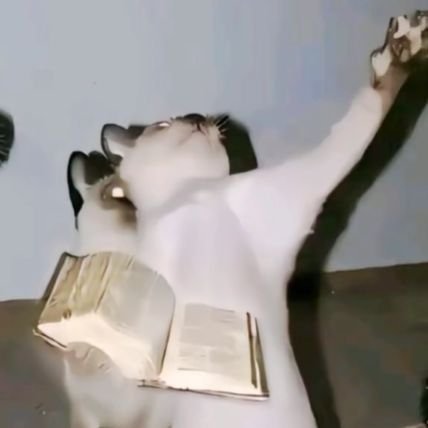 Eban7w7's profile picture. 