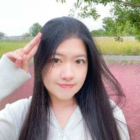 吴美律AI日记 (@wumeilv_ai) 's Twitter Profile Photo