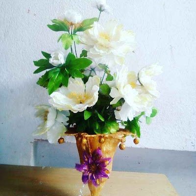 NeshatFox's profile picture. 