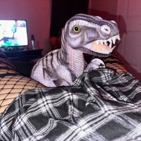 Ale_Femboy🦖🦅 (@goober2246) 's Twitter Profile