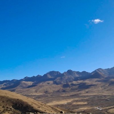 shofikuljis's profile picture. Crypto collector researching Web3 innovations