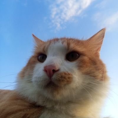 Myexiledsoul_'s profile picture. nuhh