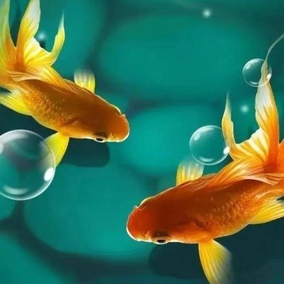 MiskT12850's profile picture. DeFi interaction expert, Wallet as soul