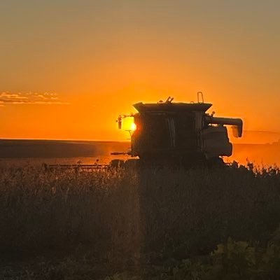 Farm dry land maize and soybeans, breed Bonsmara stud cattle, loves running and whiskey, avid reader and booklover. Love my wife. South Africa.