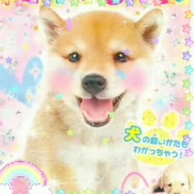 8teen🦴she/her🐾bi🐶virgin 🦴dms open ^_^🐾menu is in my pinned 🐶 18+ only🦴asd