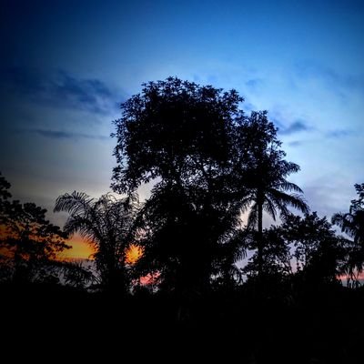 Khalifa2468's profile picture. bring nature to your screen