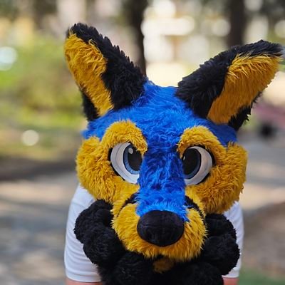 Sicilian goofy fursuit dancer if loves cuddles :3 and lewd things.
Fursuit made by: @Servorest
My socials: https://t.co/6txP5J0GL6