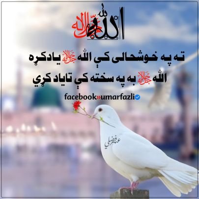 العلم نور ،والجل ظلمة
زما نشرات زما خپل شخصی نظریات دی