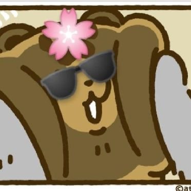 bunnystarwin's profile picture. wishallyourbest🍊🥭🥑