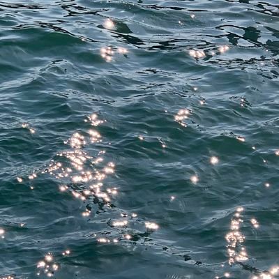 nomatter_xd's profile picture. 빌런즈 2기  인사드립니다 🐥🍀