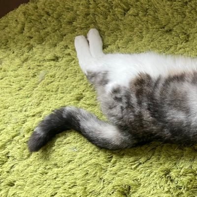 架緒👻10/19東4キ57bさんのプロフィール画像