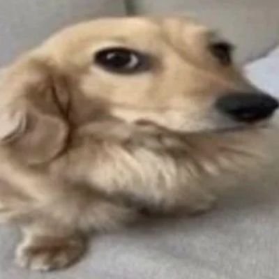 Cursed_ashes's profile picture. I follow artists that I like