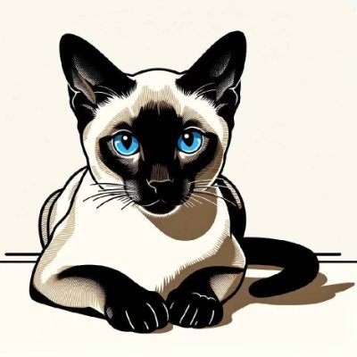 SonnyDev_'s profile picture. 