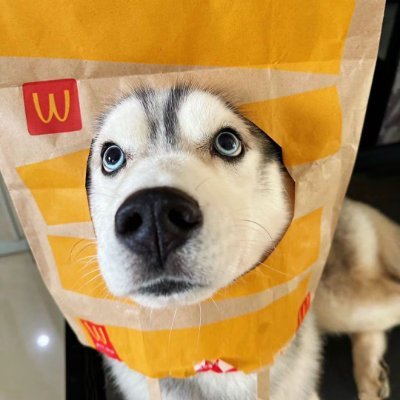 Alecson2076388's profile picture. DeFi strategist harvesting sustainable returns