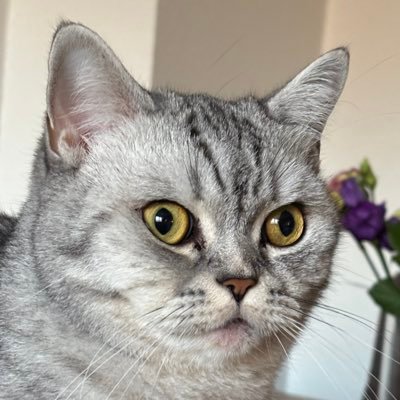 Orestida1's profile picture. KHK mağduru bir öğretmen ve Yolcu..