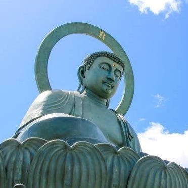 町田ゼルビアと千葉ロッテが大好きです!町田市民です!ワンダーウーマンの人でした!新しく作り直しました!