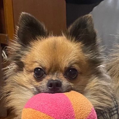 komiyan123's profile picture. 