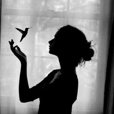 putulsingh88730's profile picture. Capturing India’s diversity 📸 | Literature & art lover | Nature, animals & culture enthusiast 🌿🦜 | Passion for tribal development & yoga |