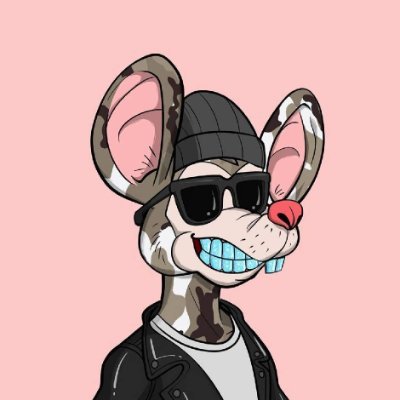 wiererzec15's profile picture. Digital identity builder supporting network security