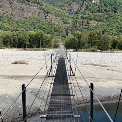 timechain_21's profile picture. Grateful living under the #Bitcoin sun. Standing on the shoulders of Cypherpunks. Developer. Entrepreneur. Consultant.