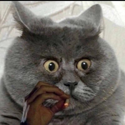 Asher_RV2005's profile picture. “Knowledge is sexy”