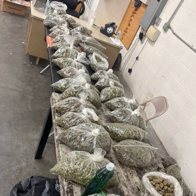 Indoor🍁s,Deps, Lows, Disposables💨, Shrooms🍄, pills💊 , LSD🧩, Coke ❄️
Concentrates . Shipping worldwide 🌏 📦 ✈️
Click the link below to drop ya order 💯