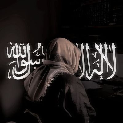 mmdmbrk149's profile picture. 