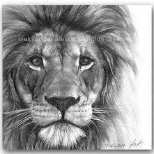 guako_63's profile picture. En Venezuela se uele aire de libertad.