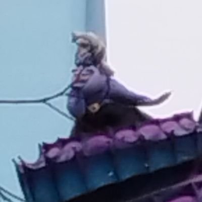 愛さんのプロフィール画像