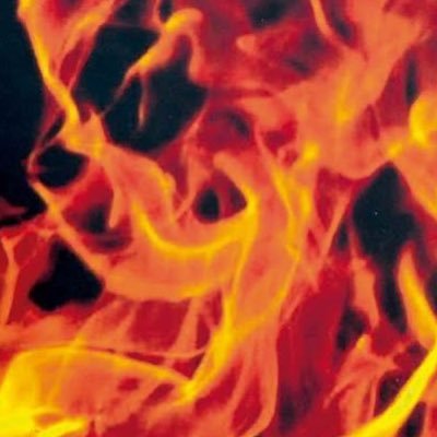 sidvi2's profile picture. 