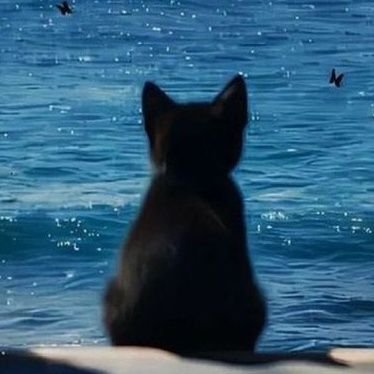 deliiii03's profile picture. :(: