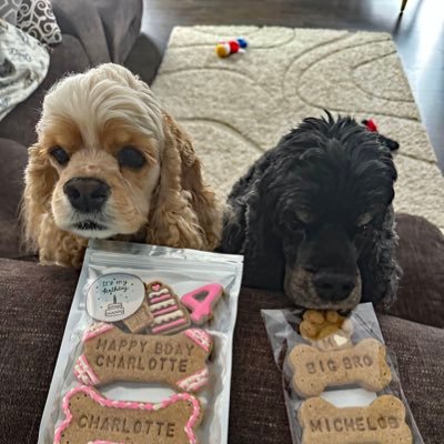 Michelob (black/tan) 11 yrs, Charlotte 4 yrs. We live in Ohio, a mile from Lake Erie. Lady😇🌈 ♥️