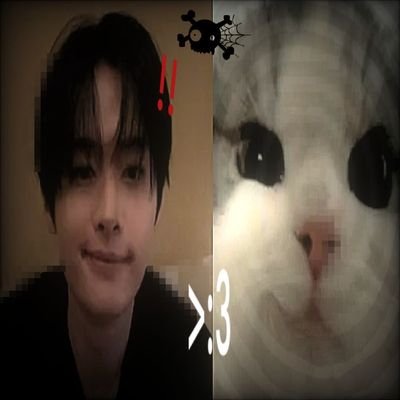 ᶻ 𝗓 𐰁✩°。⋆🔞
🐈⬛⋆。˚ ☁︎ ˚。⋆
él/elli
Fefi y minho ❤️🩹
🌫₊˚.🎧 ✧‧₊˚🌑
#YouMakeStrayKidsStay