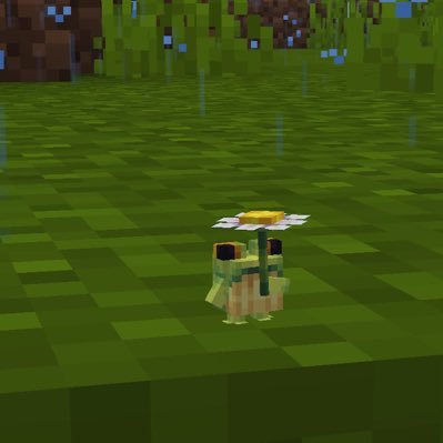 takikungtk's profile picture. 