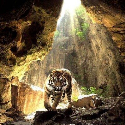 TerraNova34009's profile picture. https://t.co/G4Y0XEdcxr